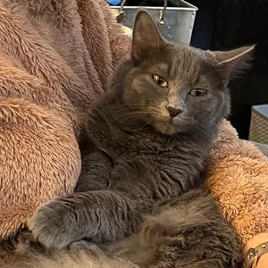 Meet your Posher, Andrea